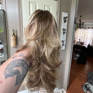 Wig- dark blonde with highlights